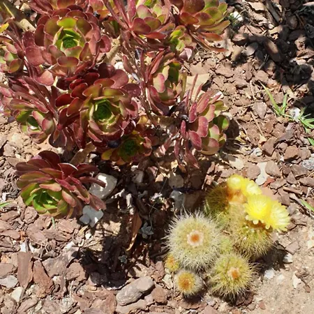 Casa Dos Imos Дом отдыха Алвадуш