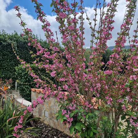 Casa Dos Imos * Алвадуш