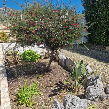 Casa Dos Imos Casa de Férias *