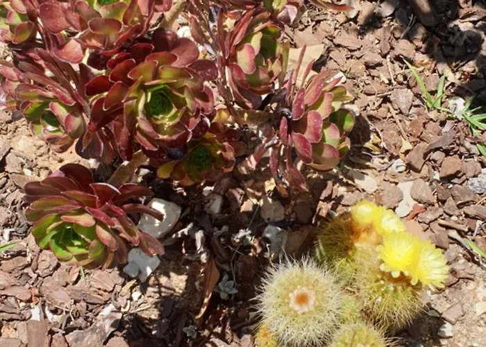 Casa Dos Imos Casa vacanze Alvados