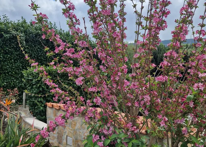 Casa Dos Imos * Alvados